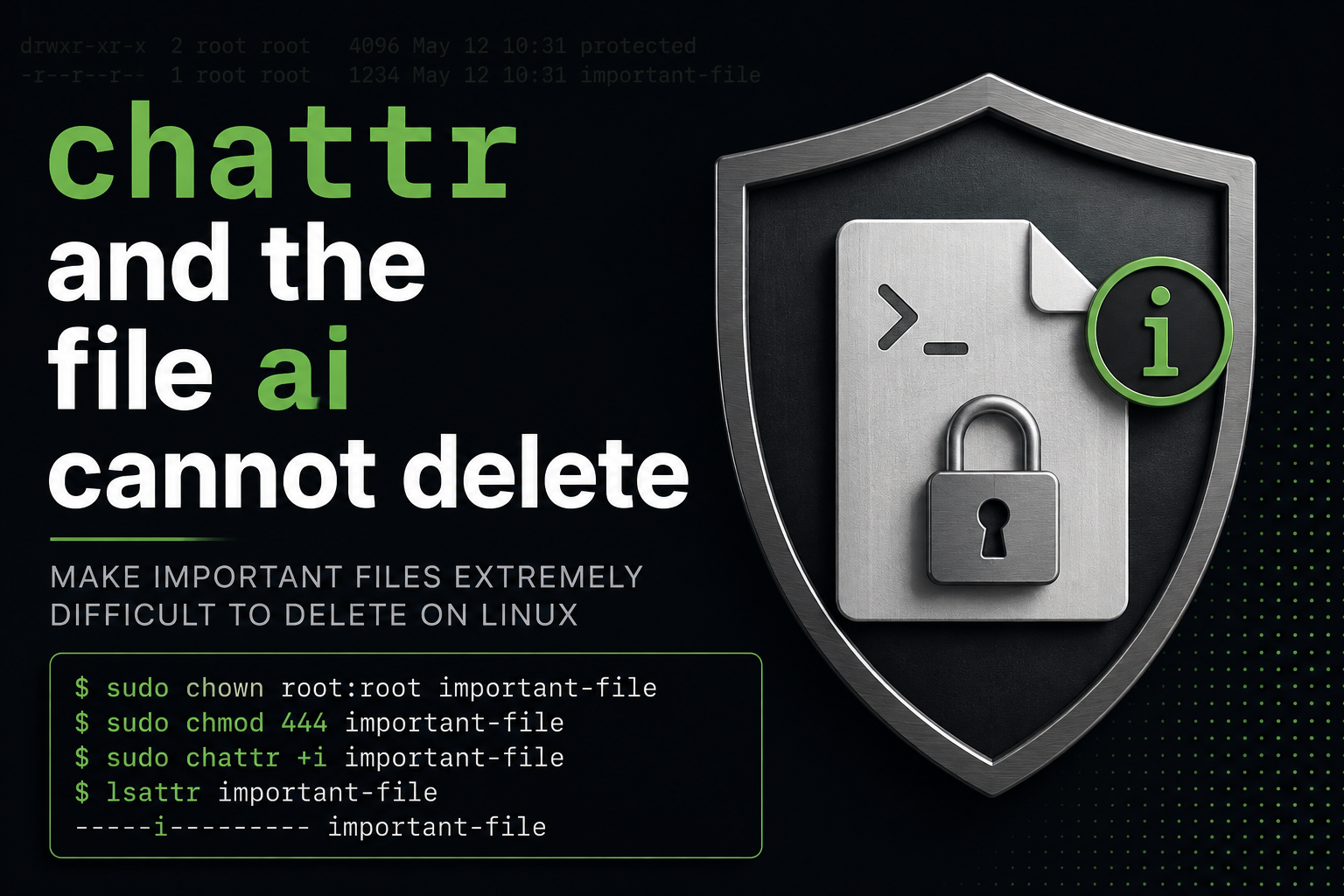 chattr and the file ai cannot delete